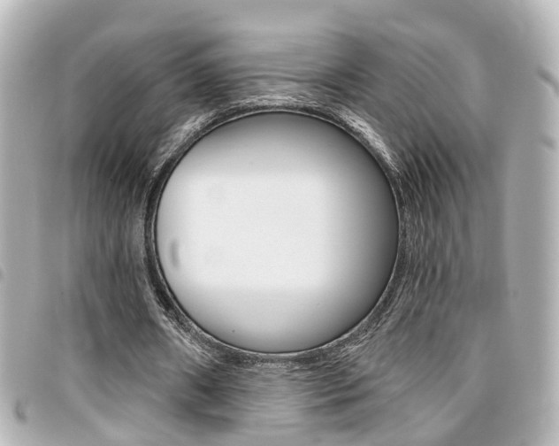 X0000094440482200711081029