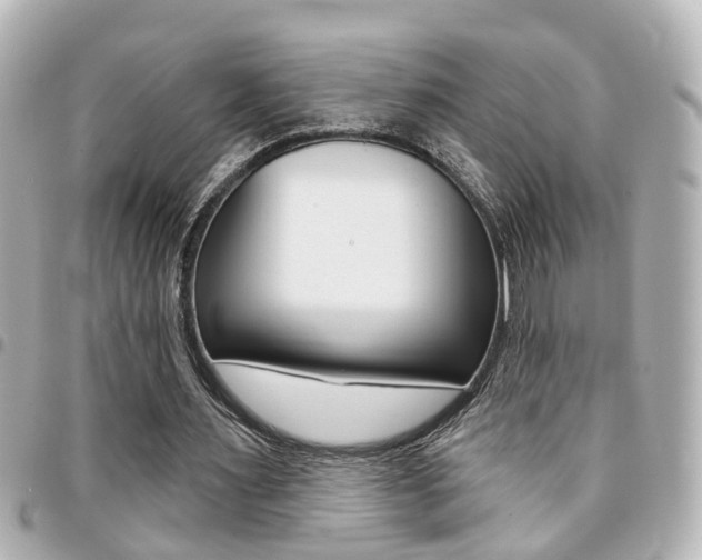 X0000094440483200711081029