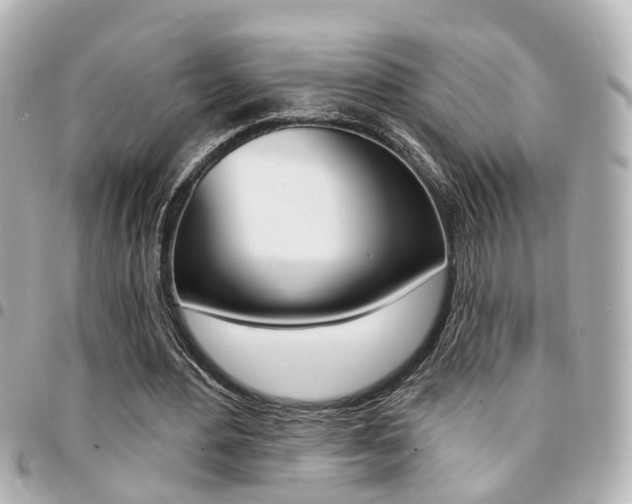 X0000094440484200711081028