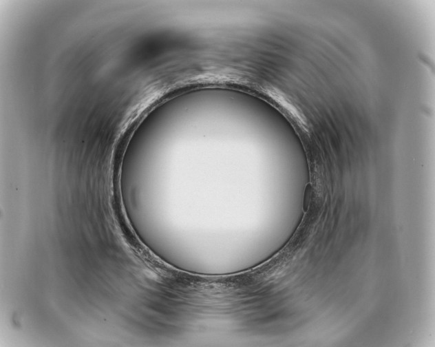 X0000094440486200711081028