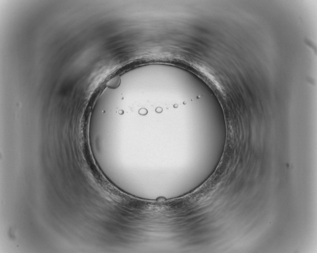 X0000094440487200711081028