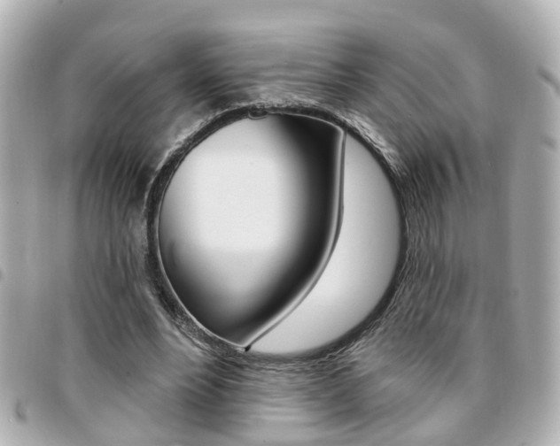 X0000094440488200711081028