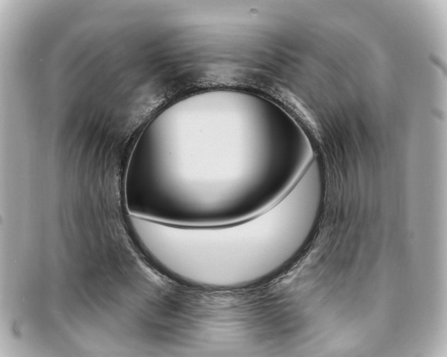 X0000094440489200711081028