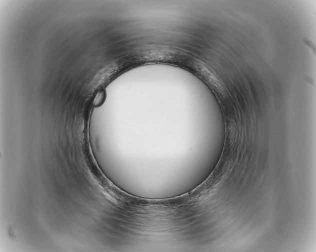 X0000094440490200711081028