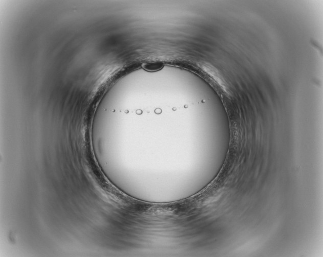 X0000094440491200711081028