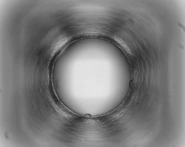 X0000094440494200711081028