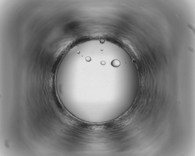 X0000094440495200711081028