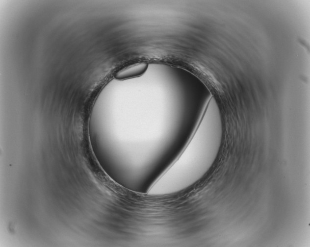 X0000094440496200711081028