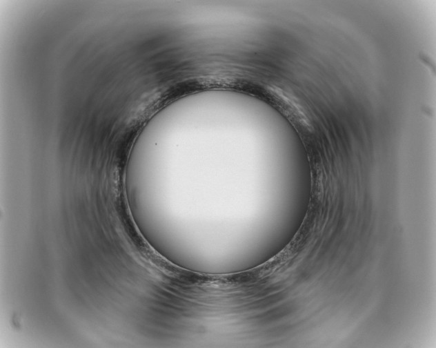 X0000094440498200711081028