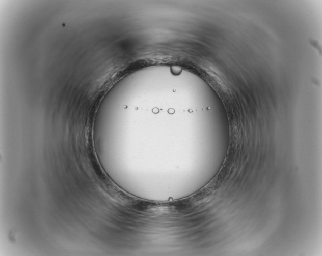 X0000094440499200711081028