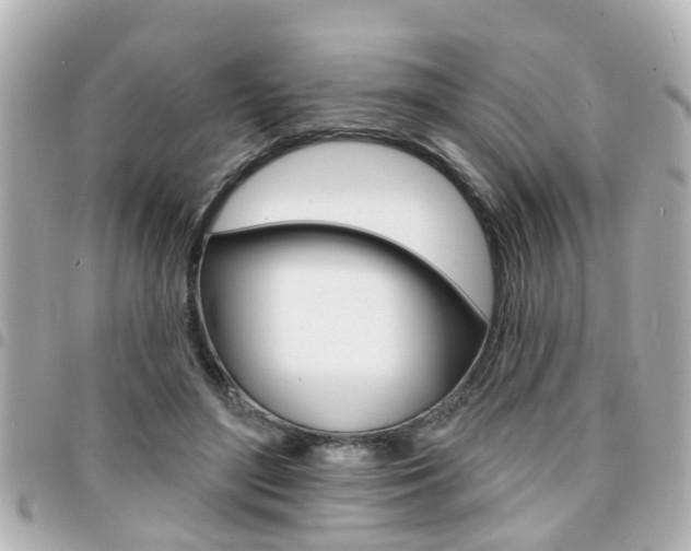 X0000094440500200711081028