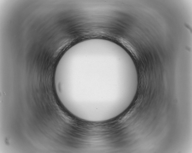 X0000094440501200711081028