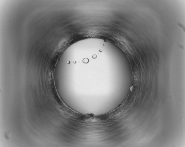 X0000094440503200711081028