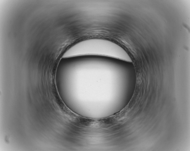 X0000094440504200711081028