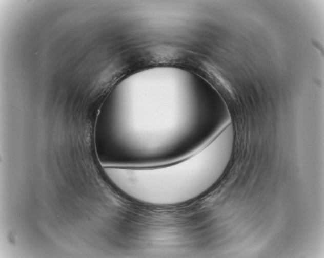 X0000094440505200711081028