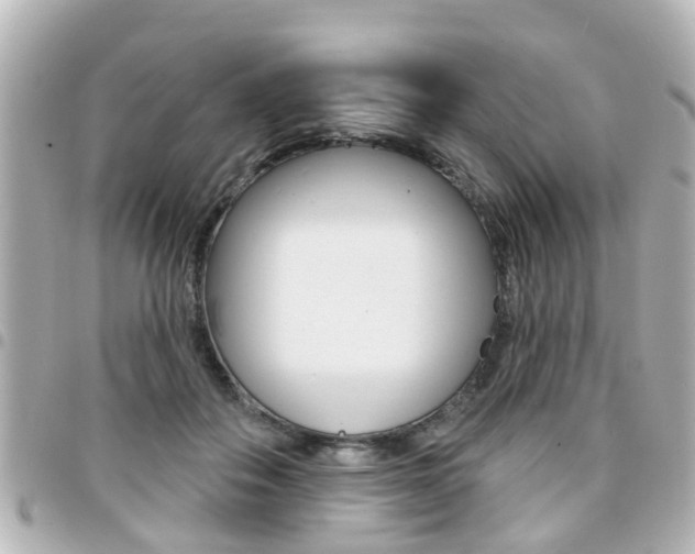 X0000094440506200711081028