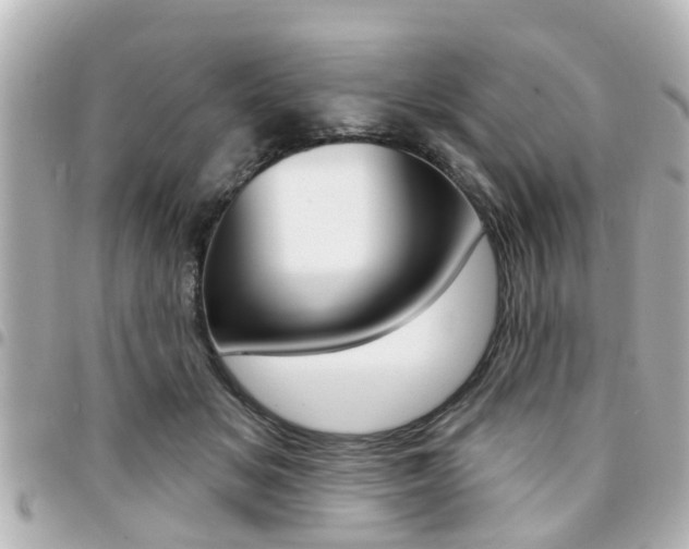 X0000094440509200711081028