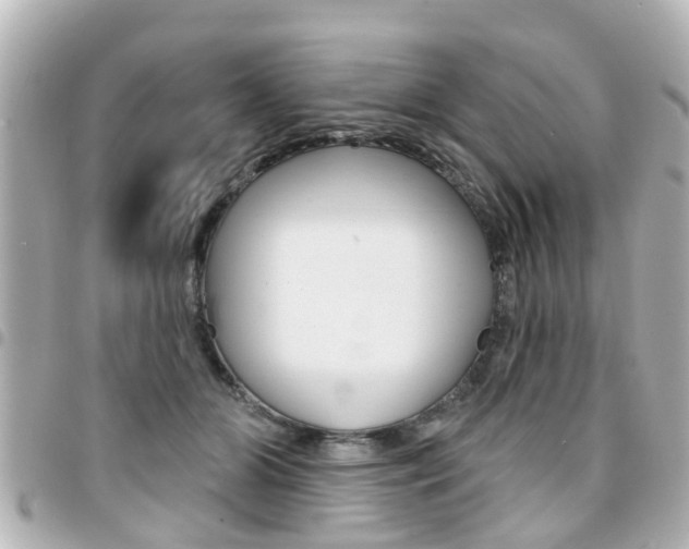 X0000094440510200711081028