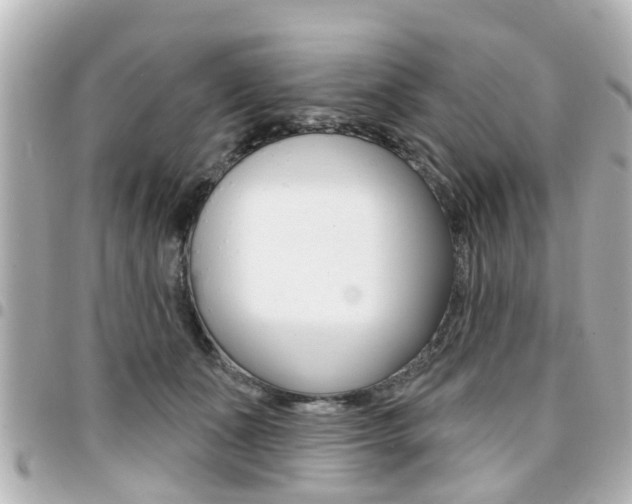 X0000094440511200711081028