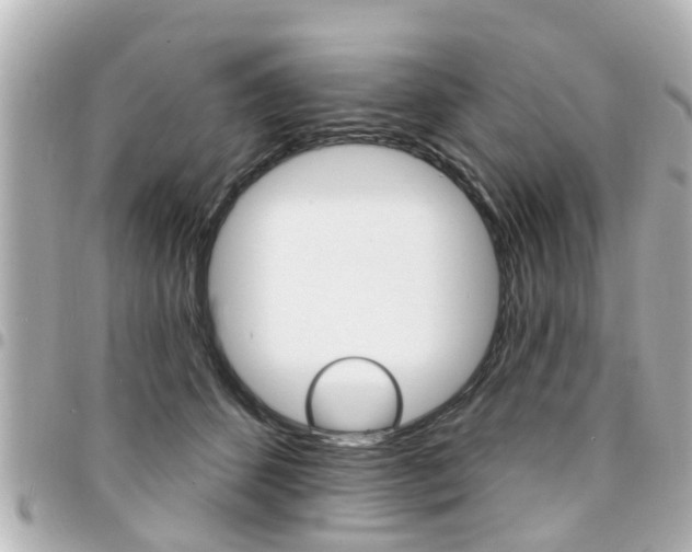 X0000094440512200711081028