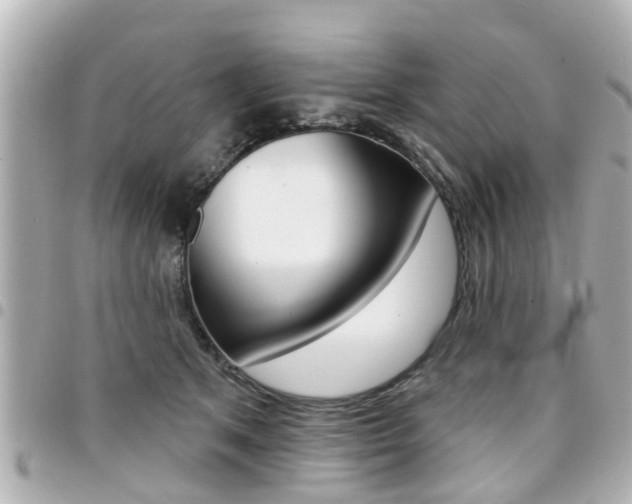 X0000094440513200711081028