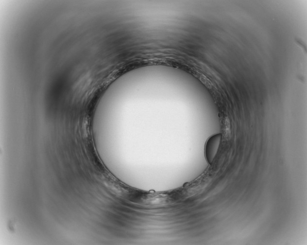 X0000094440514200711081028