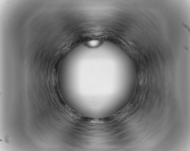 X0000094440515200711081028
