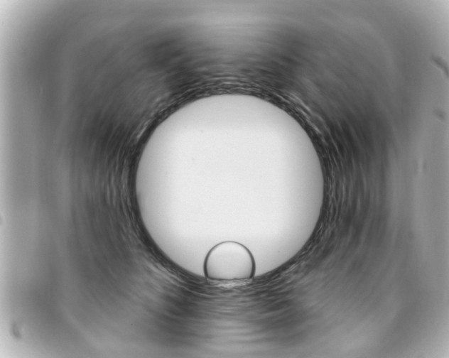 X0000094440516200711081028