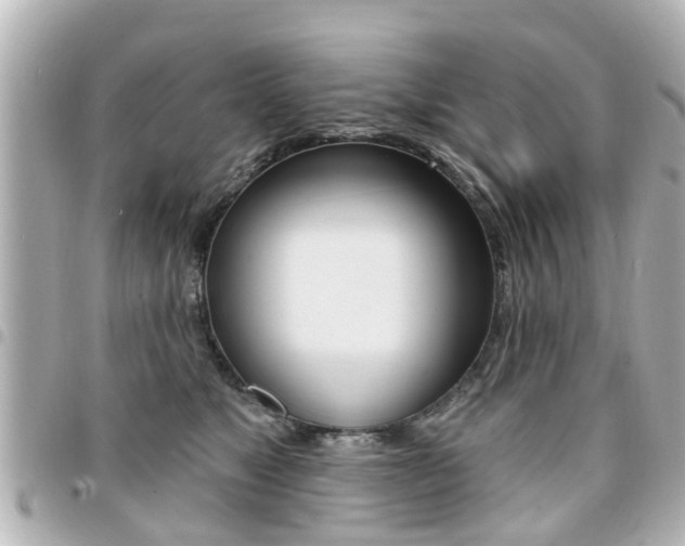 X0000094440517200711081028