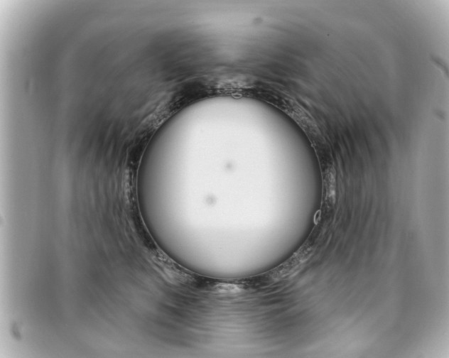 X0000094440519200711081028