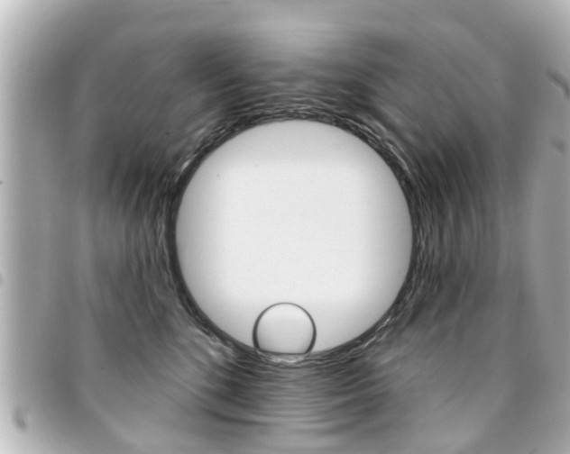 X0000094440520200711081028