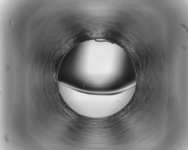 X0000094440521200711081028