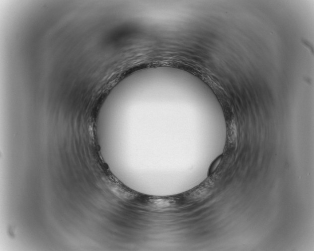 X0000094440522200711081028