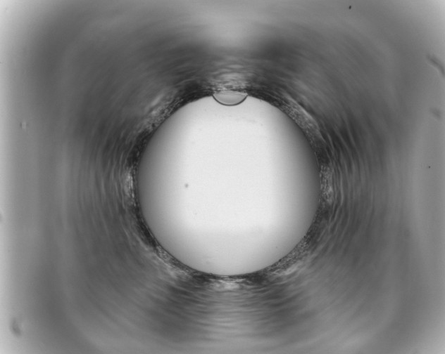 X0000094440523200711081028