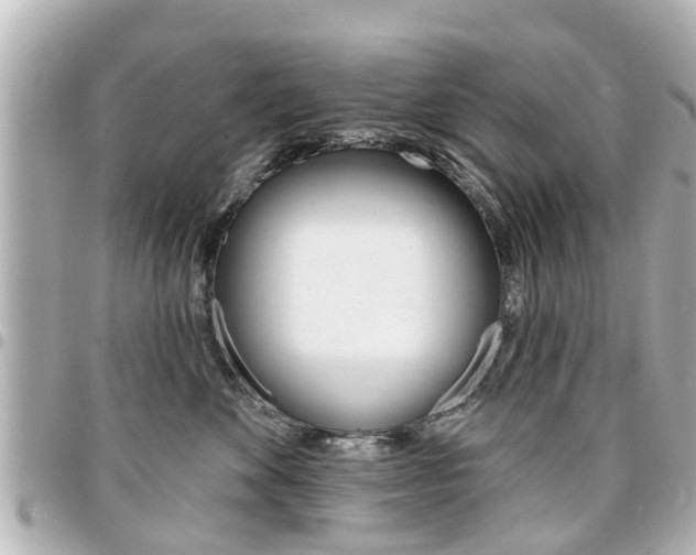 X0000094440524200711081028