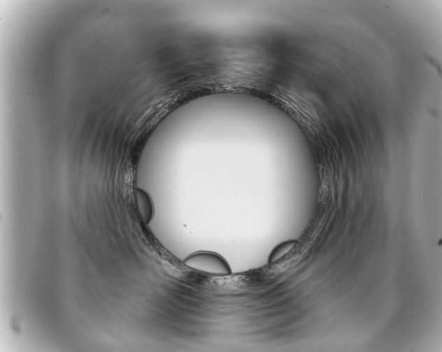 X0000094440526200711081028