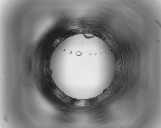 X0000094440527200711081028