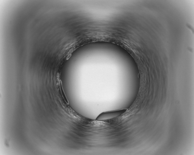 X0000094440528200711081028