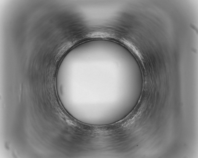 X0000094440529200711081027