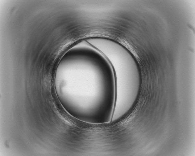 X0000094440530200711081027