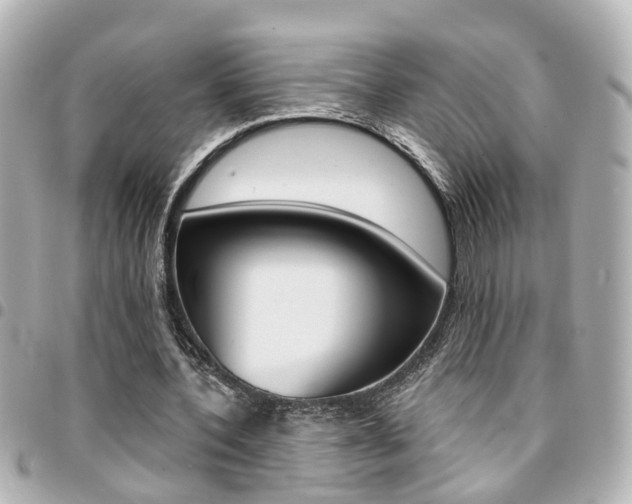 X0000094440532200711081027
