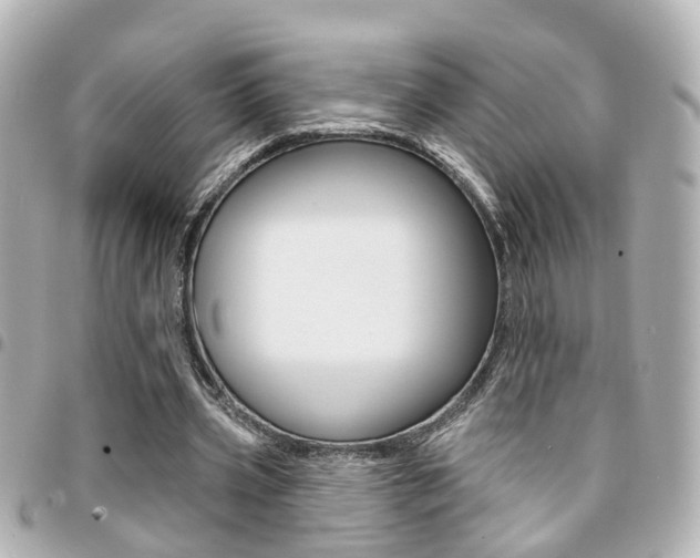 X0000094440533200711081027