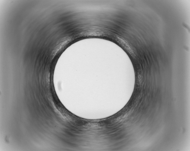 X0000094440534200711081027