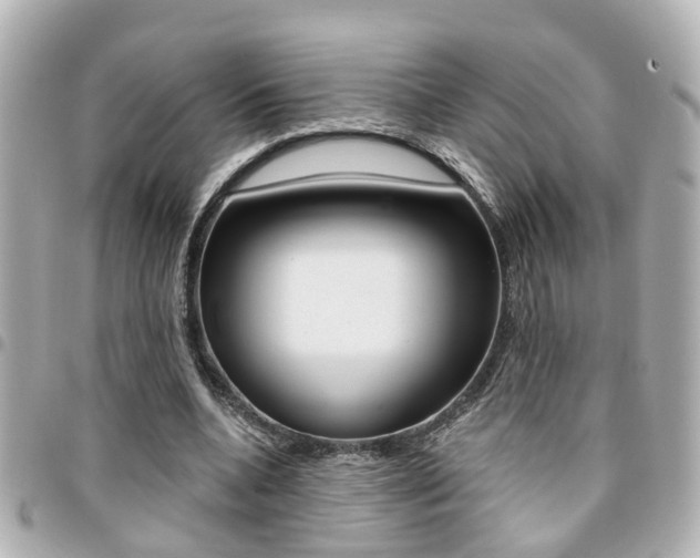 X0000094440536200711081027