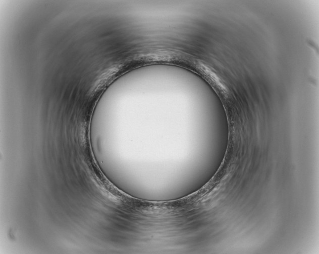 X0000094440537200711081027