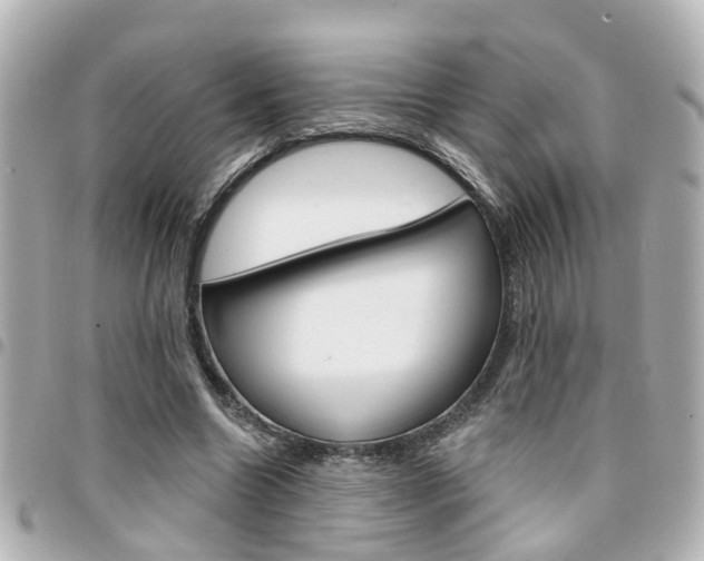 X0000094440538200711081027