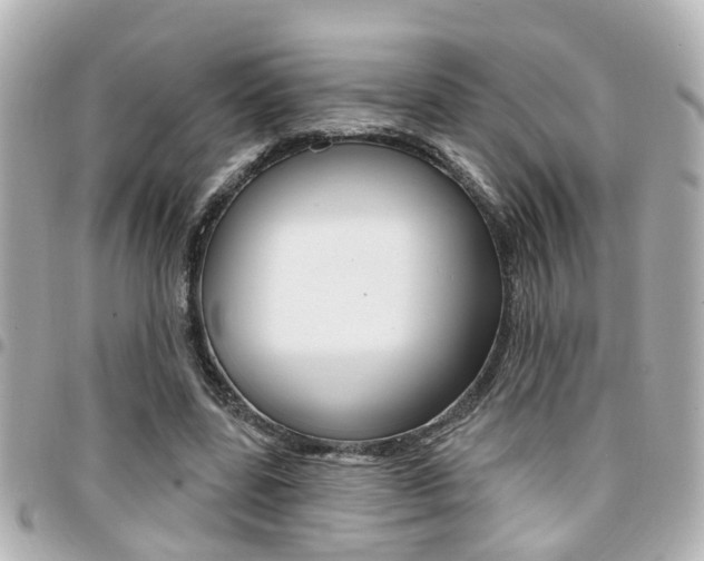 X0000094440539200711081027