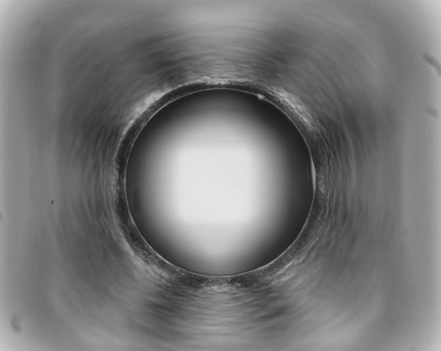 X0000094440540200711081027