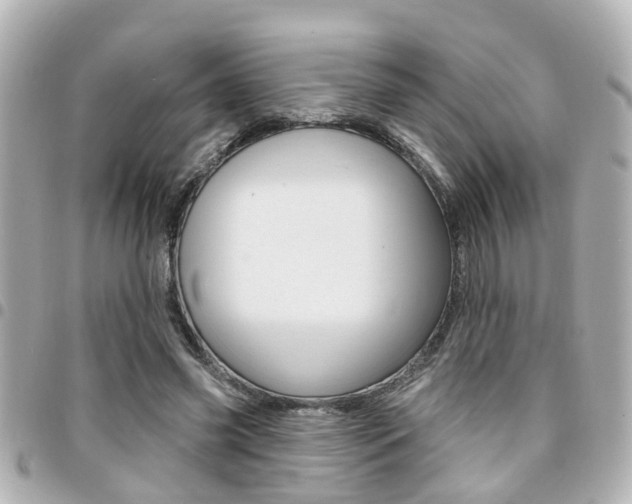 X0000094440541200711081027