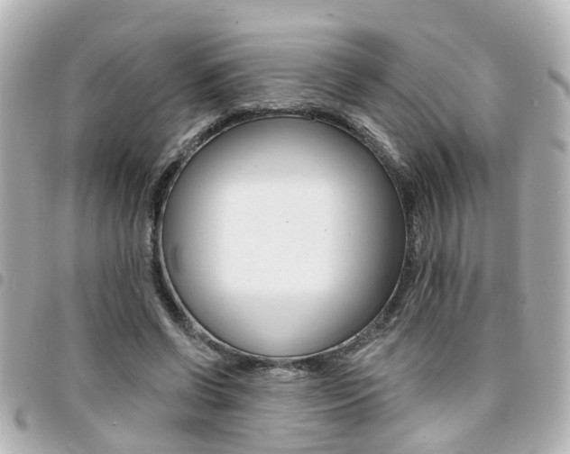 X0000094440542200711081027